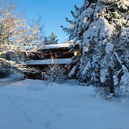 Kibuvitsa Holiday House Muratsi 外观 照片